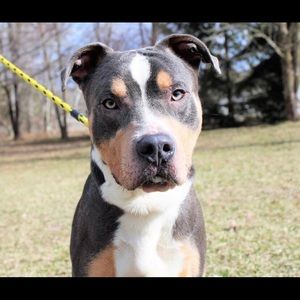 Meet your Posher, Daysaun